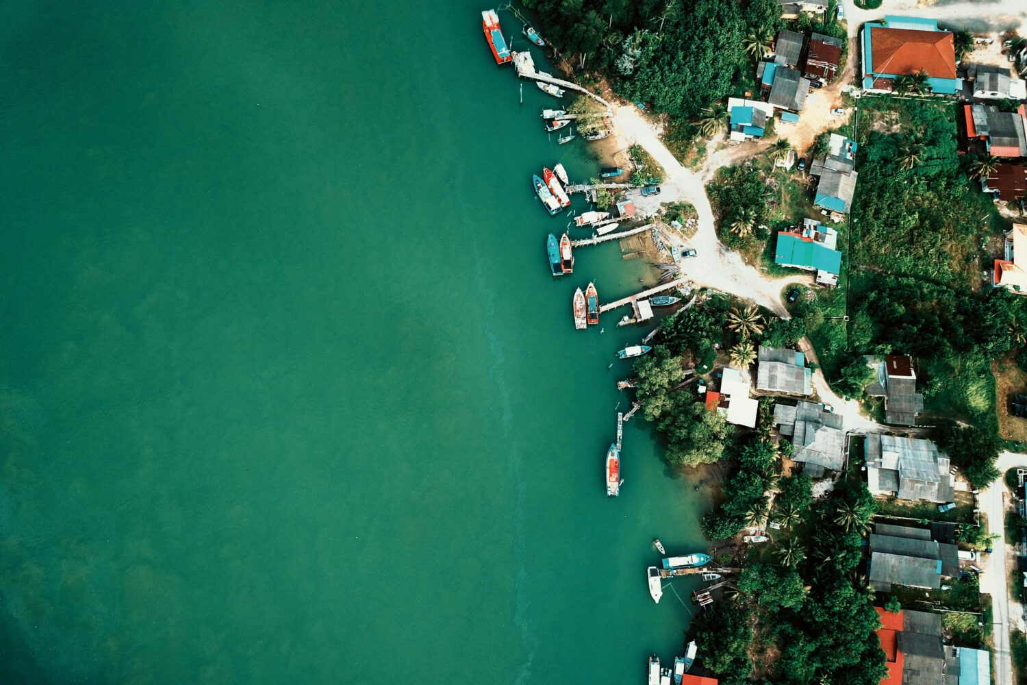 Coastal village from above